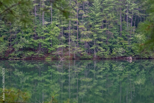 lake in summer with greenery photo