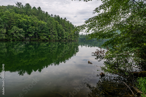 lake in summer with greenery photo