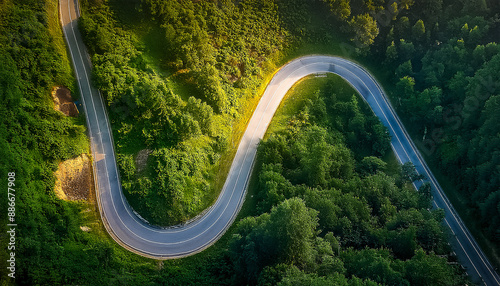 Winding empty road in the mountains, covered green forest, directly above