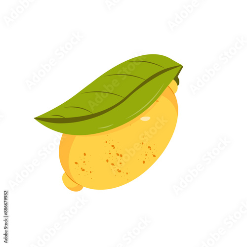 Abstract vector lemon. Simple lemon. Tropical fruit collection design for interior, poster, banner. 
