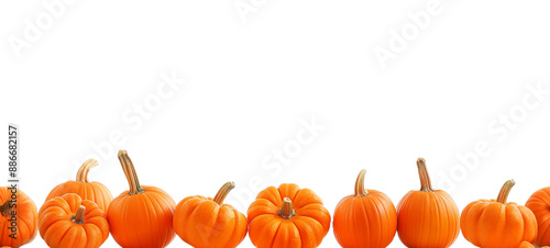 Seamless Horizontal pumpkins isolated on transparent background PNG - Vegetable boarder Background 