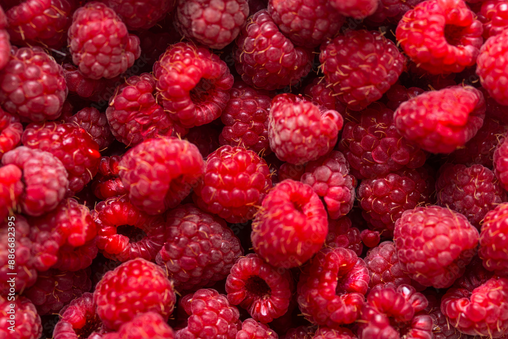close-up lot of fresh raspberries in a container close-up lot of fresh raspberries in a container