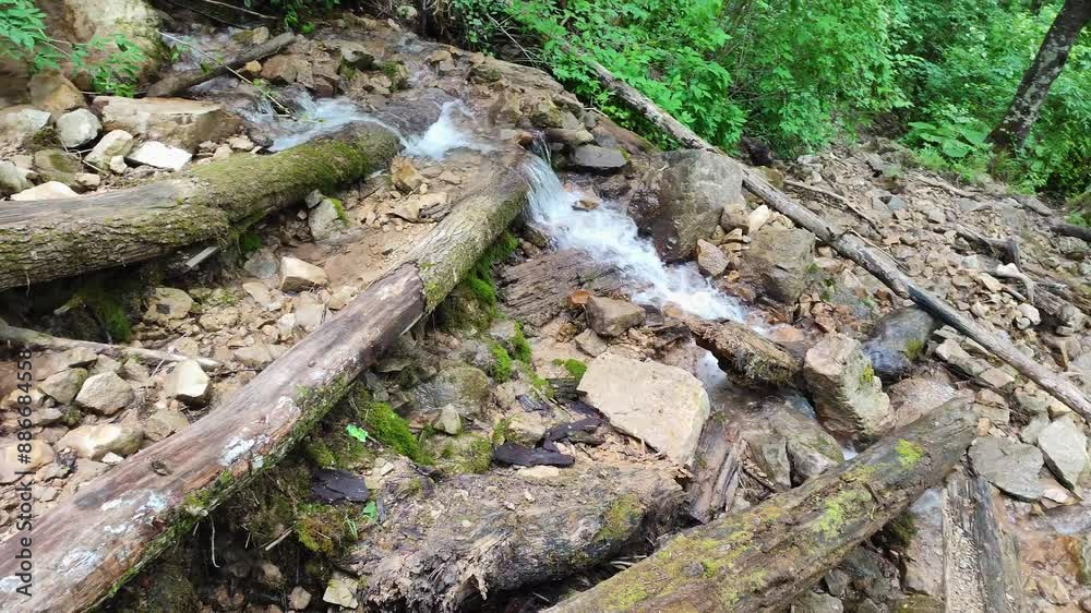 Stream and old forest, with a high waterfall.
Stream and old forest beautiful forest in summer.
Stream and old forest, with a high waterfall.
Stream and old forest beautiful forest in summer.
