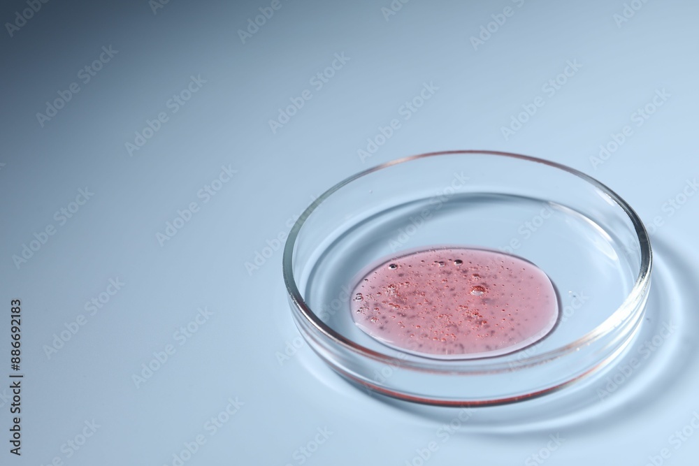 Petri dish with sample on light blue background, space for text Petri dish with sample on light blue background, space for text