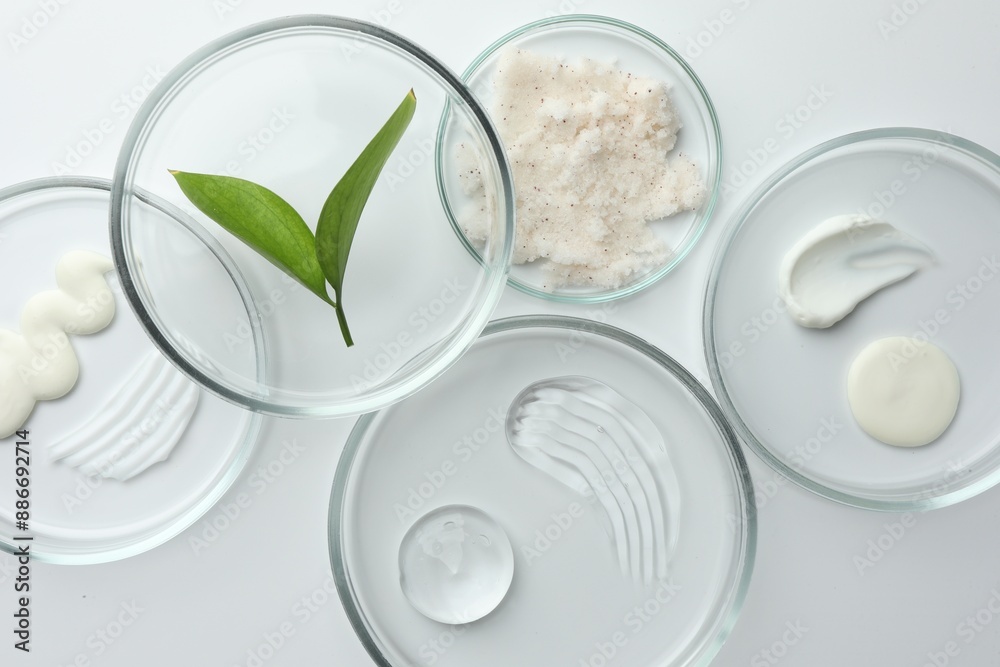 Petri dishes with different cosmetic products and leaves on white background, flat lay Petri dishes with different cosmetic products and leaves on white background, flat lay