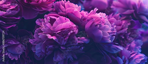 Fototapeta Naklejka Na Ścianę i Meble -  Summer theme depicted by vibrant purple peonies in a copy space image