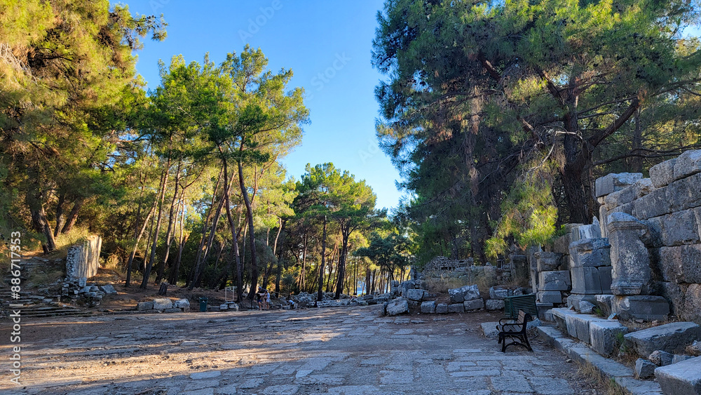 Obraz premium A park with tall trees and stones from the ancient era