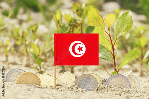 Tunisian flag and euro coins on sandy surface with plants,macro close-up.Currency exchange,business,finance and economy concept. photo