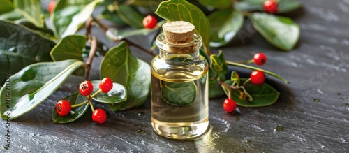 A small bottle of aromatic essential oil surrounded by wintergreen leaves berries and a blank area for text or images. Copy space image. Place for adding text and design