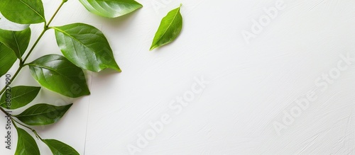 A top down view of a white table showcasing a blank paper with a green leaf on it ideal for a greeting card presentation with space for text or images. Copy space image