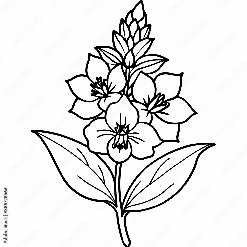 Line art of Delphinium flower Line art of Delphinium flower