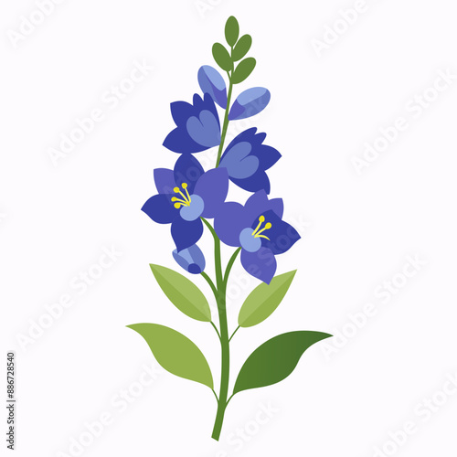 Delphinium flower vector illustration 
