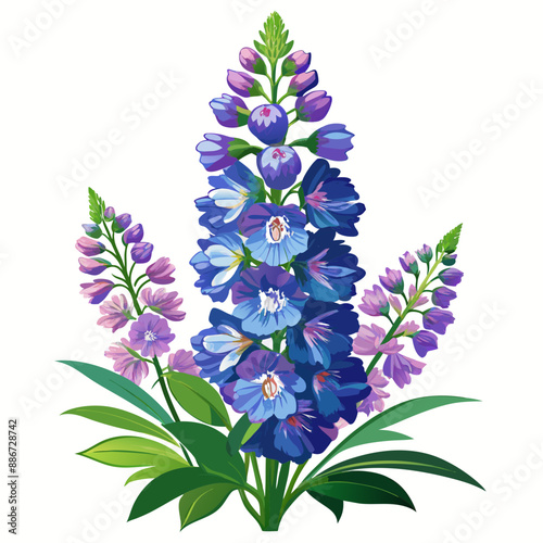 Delphinium flower vector illustration 