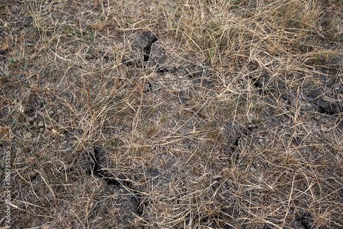 The soil with cracks due to dryness photo