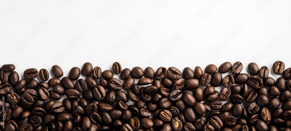 Seamless Horizontal dark coffee bean isolated on White background - Caffeine boarder Background Seamless Horizontal dark coffee bean isolated on White background - Caffeine boarder Background