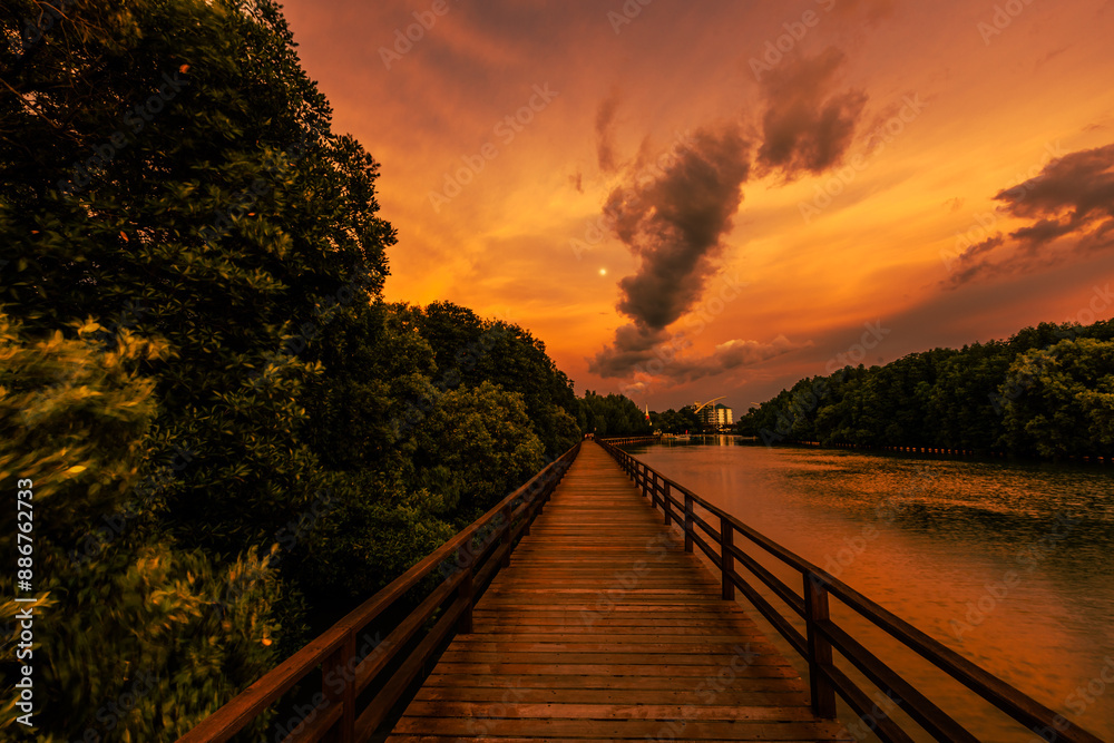 Close-up view of the natural background of the wooden bridge, which is surrounded by mangrove forests, colorful leaves of the leaves, blown through the blurred coolness during ecological travel. Close-up view of the natural background of the wooden bridge, which is surrounded by mangrove forests, colorful leaves of the leaves, blown through the blurred coolness during ecological travel.