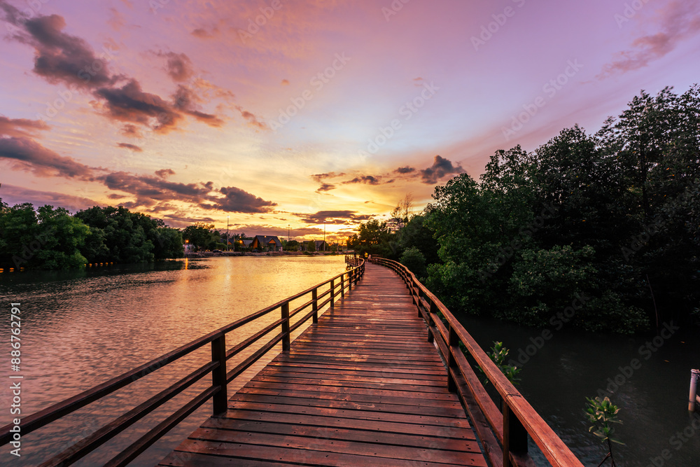Fototapeta premium Close-up view of the natural background of the wooden bridge, which is surrounded by mangrove forests, colorful leaves of the leaves, blown through the blurred coolness during ecological travel.