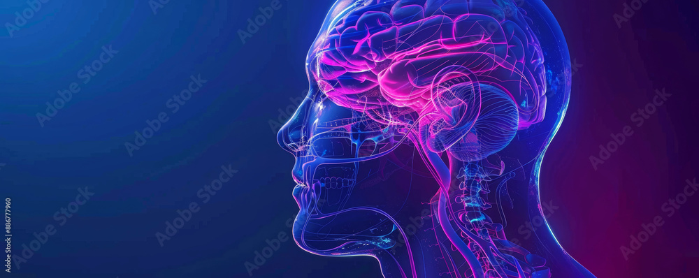 Create a detailed and visually striking image of the human auditory system, focusing on the ears and auditory nerves. Use a transparent upper torso outline with semi-transparent blue and purple Create a detailed and visually striking image of the human auditory system, focusing on the ears and auditory nerves. Use a transparent upper torso outline with semi-transparent blue and purple