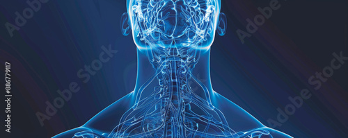 A detailed and visually striking image of the human vestibular system, focusing on the inner ear and semicircular canals. Use a transparent upper torso outline with semi-transparent blue and photo