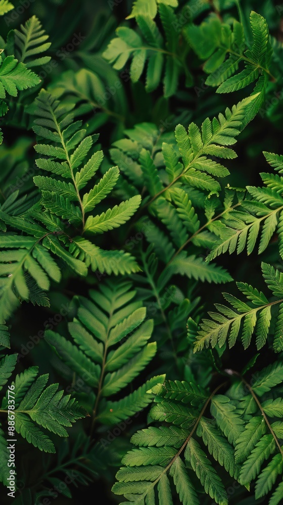 photo of green fern plant wallpaper - generative ai photo of green fern plant wallpaper - generative ai