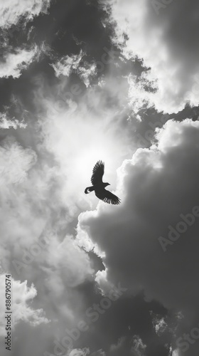 a black and white photo of a bird flying in the sky - generative ai © Nia™