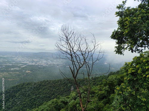 Mettupalayam - Kotagiri Rd, Jaganari Slopes R.F., Tamil Nadu 641301. 