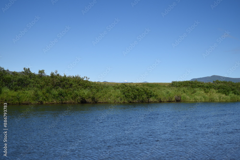 lake in the forest