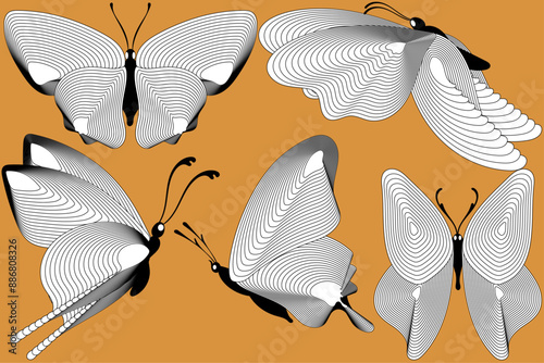 Butterfly design in Black And White Elegant Butterfly Collection Black and White Butterflies Butterfly Wings Design Graceful Butterfly Art