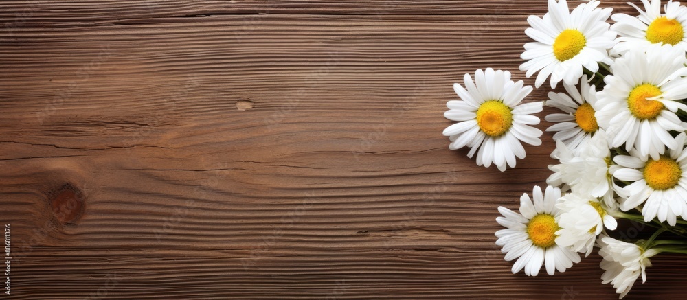 Fototapeta premium Chamomile flowers and a ribbon on a wooden background provide a charming setting for a copy space image.