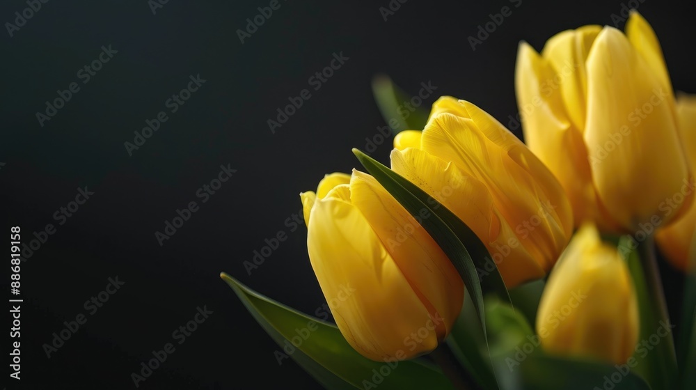 Naklejka premium Close up yellow tulips with space for text