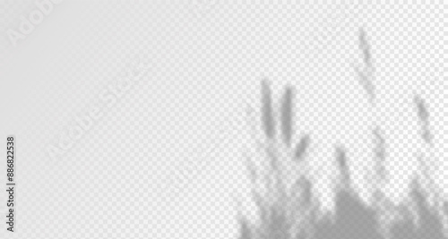 Blurred shadows from leaves and plants in the room. Soft overlay of natural light. Abstract background for product presentation.Natural light layout.