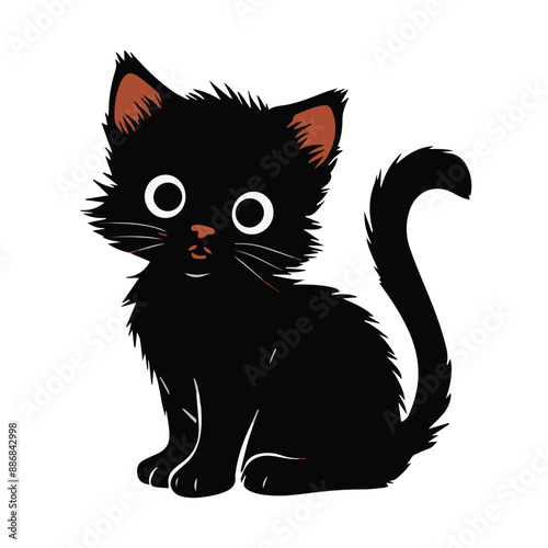 black cute cat