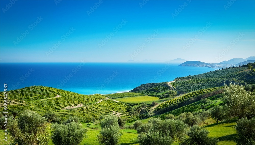 Obraz premium Colinas verdes