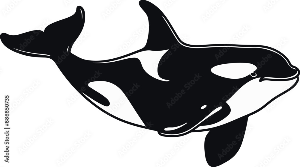 Fototapeta premium Orca Silhouette Illustration