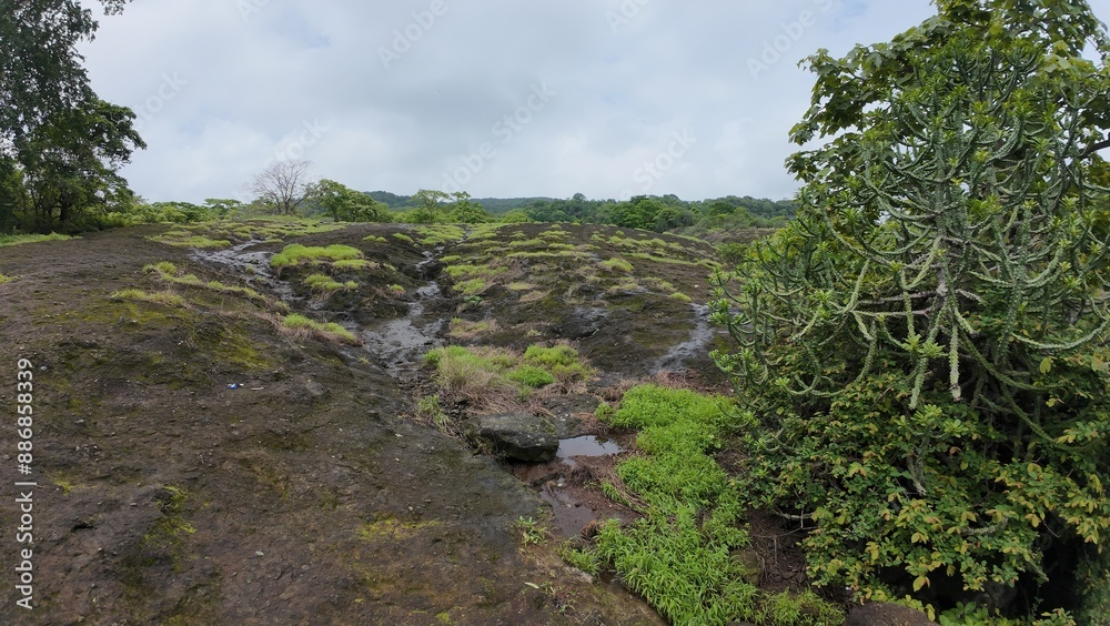 Green Patches on Rocky Terrain Under Cloudy Sky Green Patches on Rocky Terrain Under Cloudy Sky