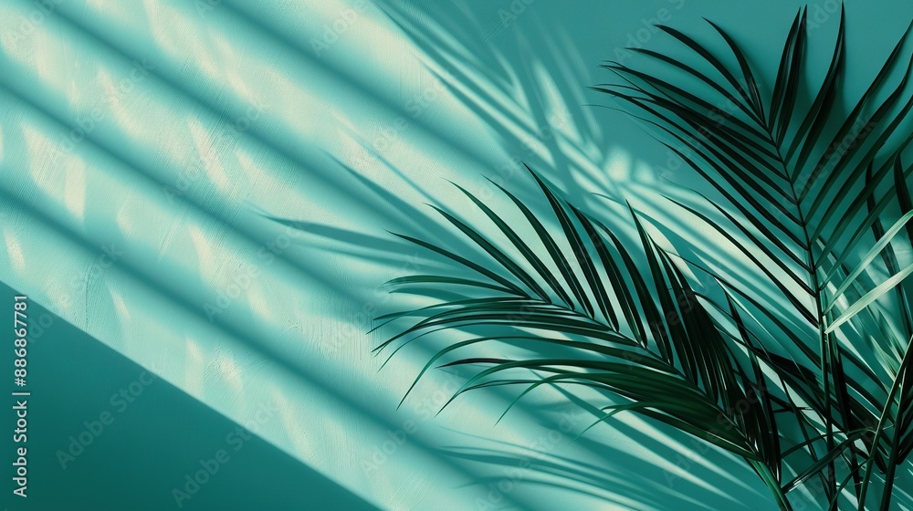   A palm casts a blue-green shadow on the room's green wall with a green plant