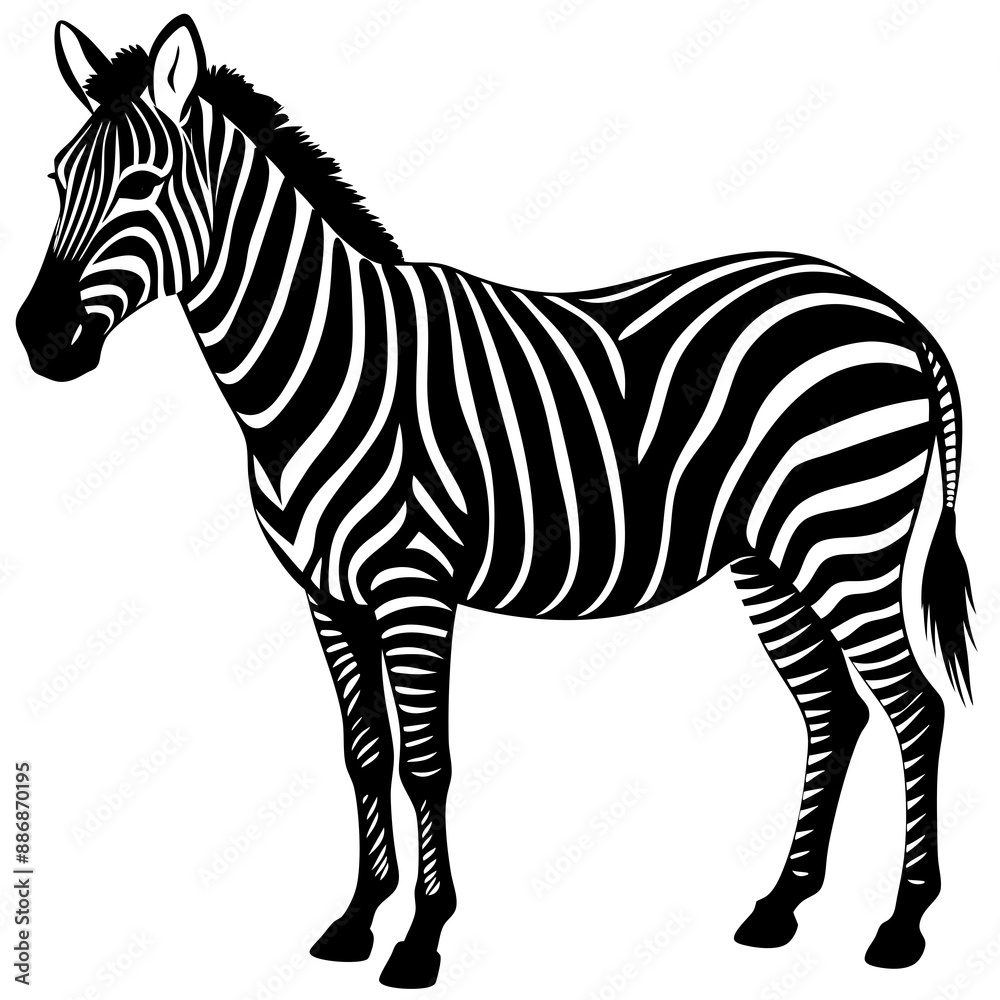 Obraz premium Vector Silhouette of Zebra