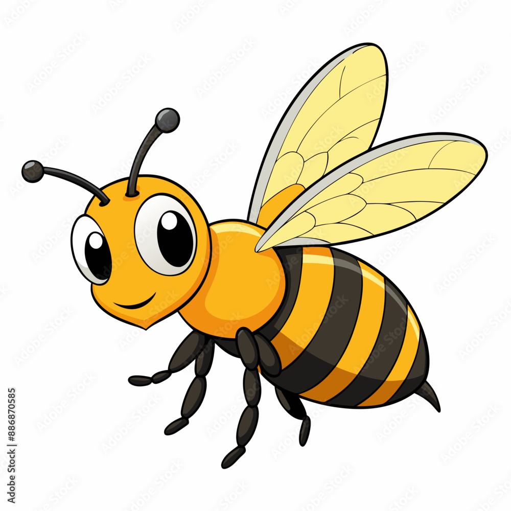 Bee, side view with white background Bee, side view with white background