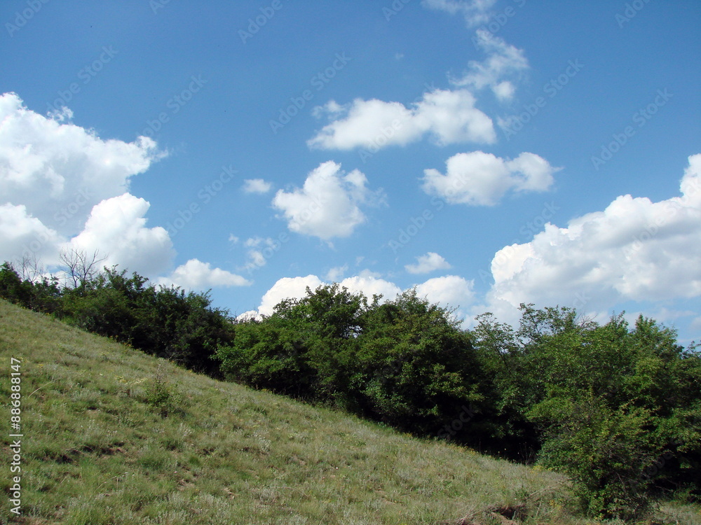 Obraz premium Panorama of the sunny slope of the hill that lifts up the Dnieper forest thickets against the background of the sunny blue sky decorated with snow-white cloud patterns.