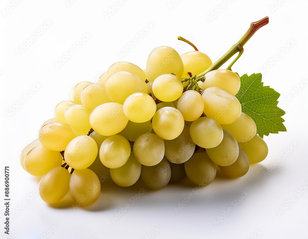 A Fresh White Grapes Isolated on White Background A Fresh White Grapes Isolated on White Background