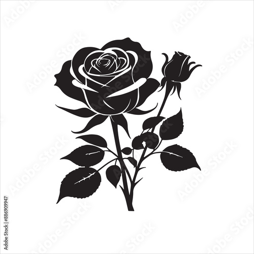 A black and white drawing of a rose with the word rose on it. photo