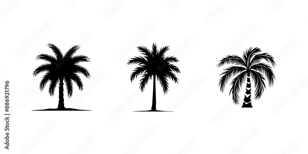 Palm tree silhouette icon set illustration isolated on transparent background. Palm tree silhouette icon set illustration isolated on transparent background.
