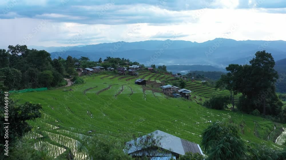 Aerial view of Rice terrace at Ban pa bong piang in Chiang mai, Thailand. Aerial view of Rice terrace at Ban pa bong piang in Chiang mai, Thailand.