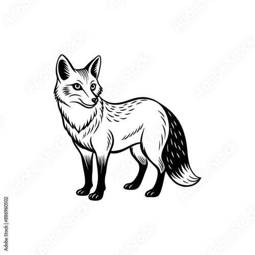 Animals encompass a diverse range of species, each with unique characteristics, habitats, behaviors, and roles in ecosystems, from mammals to insects.