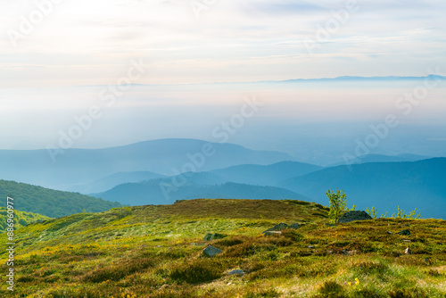 alsace_ballon_dsc_3176.jpg