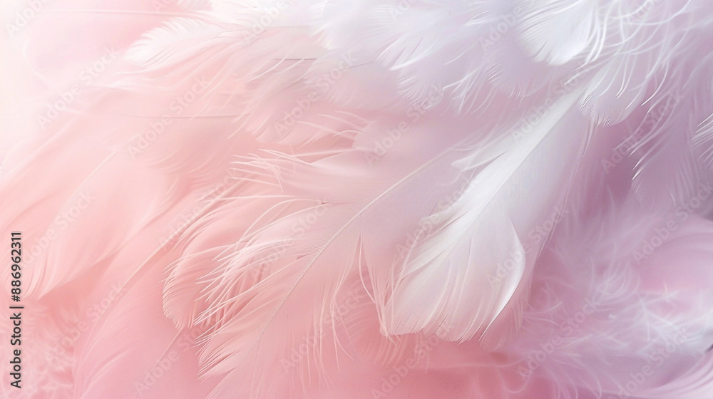 Fototapeta premium A background of delicate pink color feathers arranged in a minimalist style.