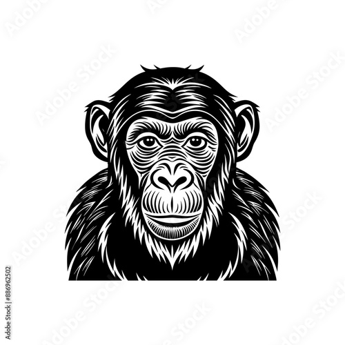 Animals encompass a diverse range of species, each with unique characteristics, habitats, behaviors, and roles in ecosystems, from mammals to insects.