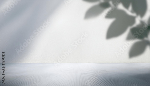 Blank empty white wall and floor studio with natural leaves shadow overlay mockup background for design, product montage display