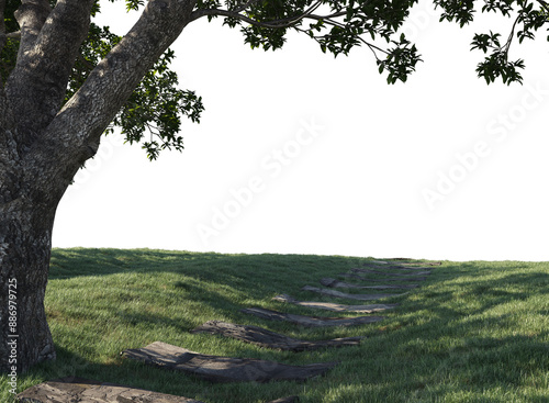 Walkway passthrough grass and tree isolated photo