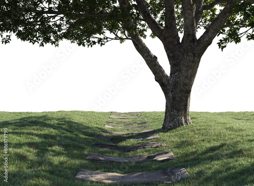 Walkway passthrough grass and tree isolated  photo